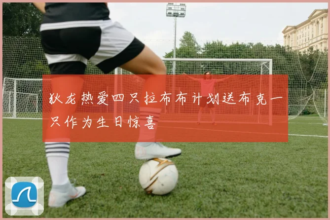 狄龙热爱四只拉布布计划送布克一只作为生日惊喜