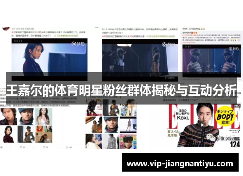 王嘉尔的体育明星粉丝群体揭秘与互动分析